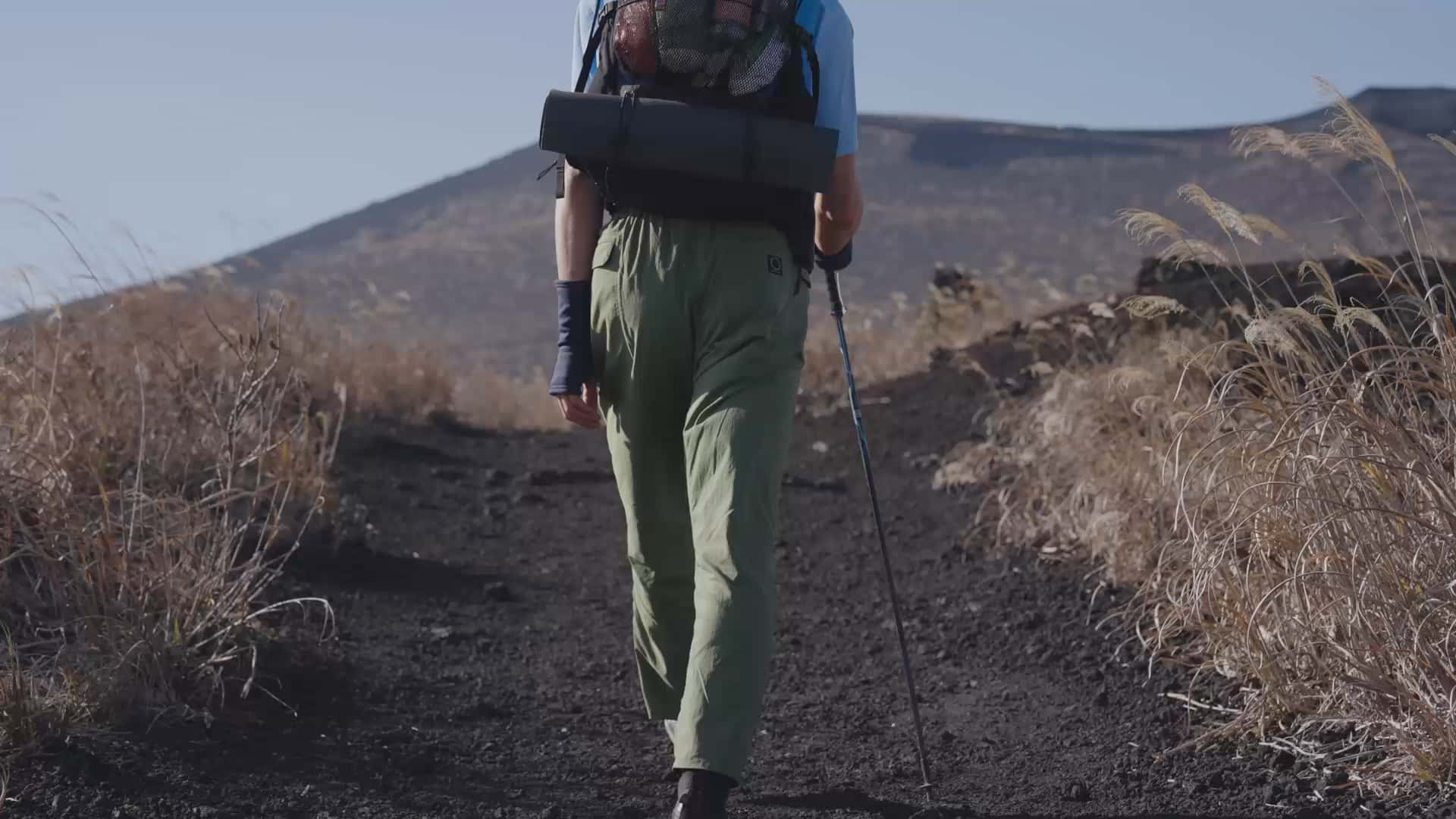 DW 5-Pocket Pants