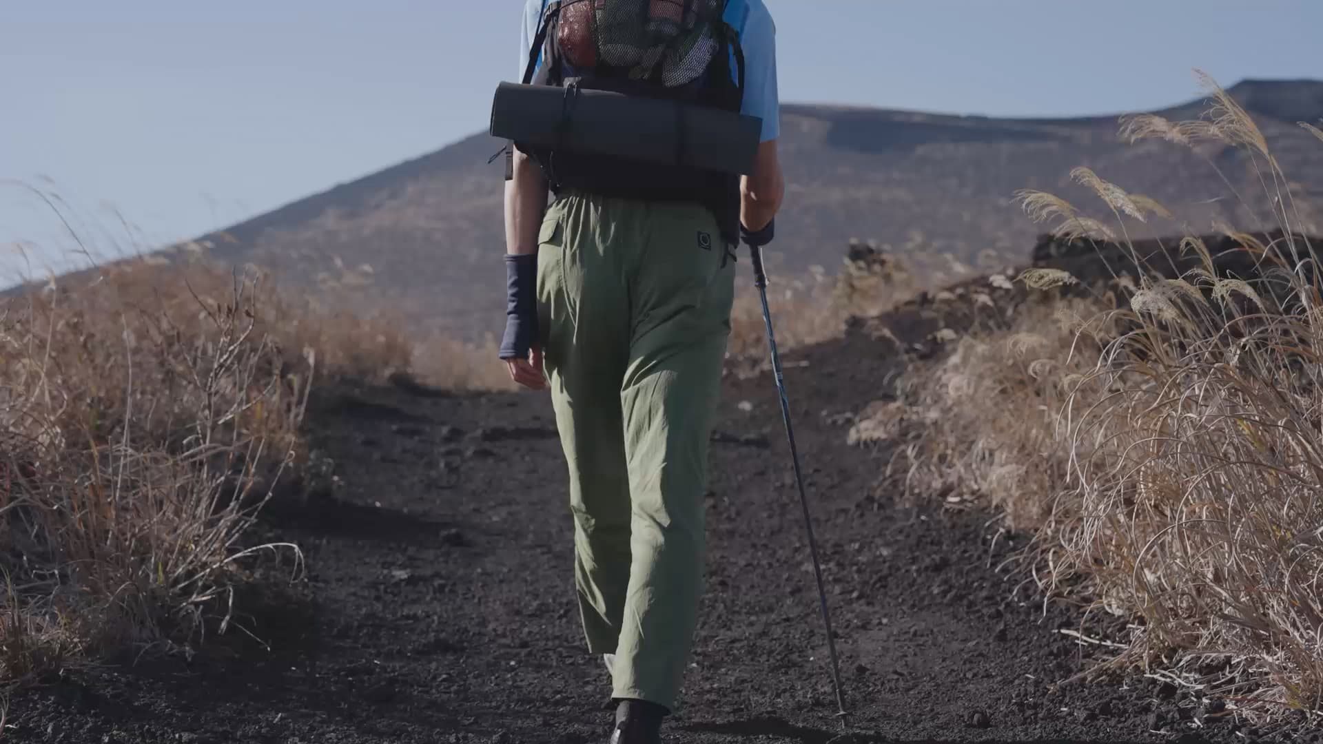 DW 5-Pocket Pants